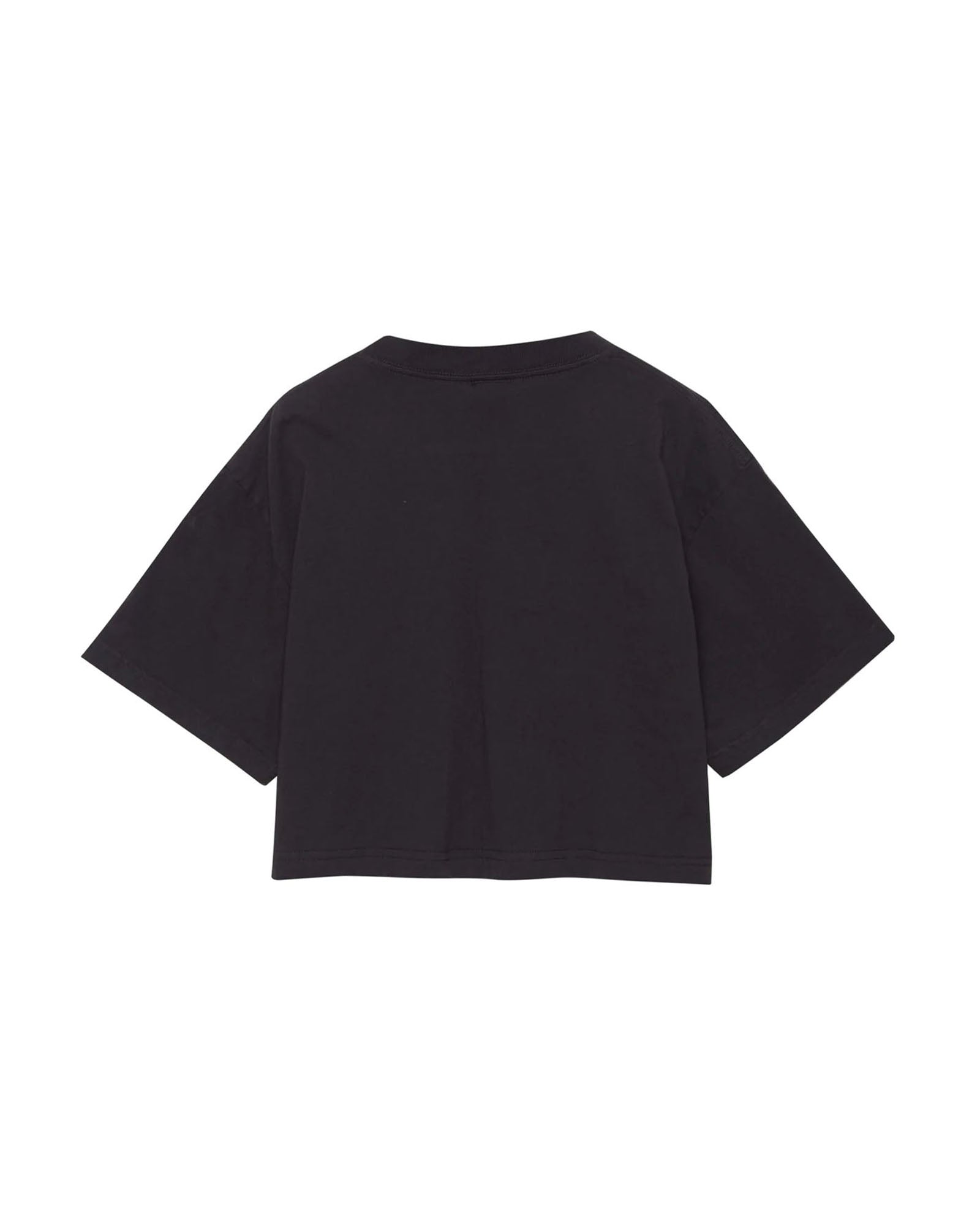 Crop Tee