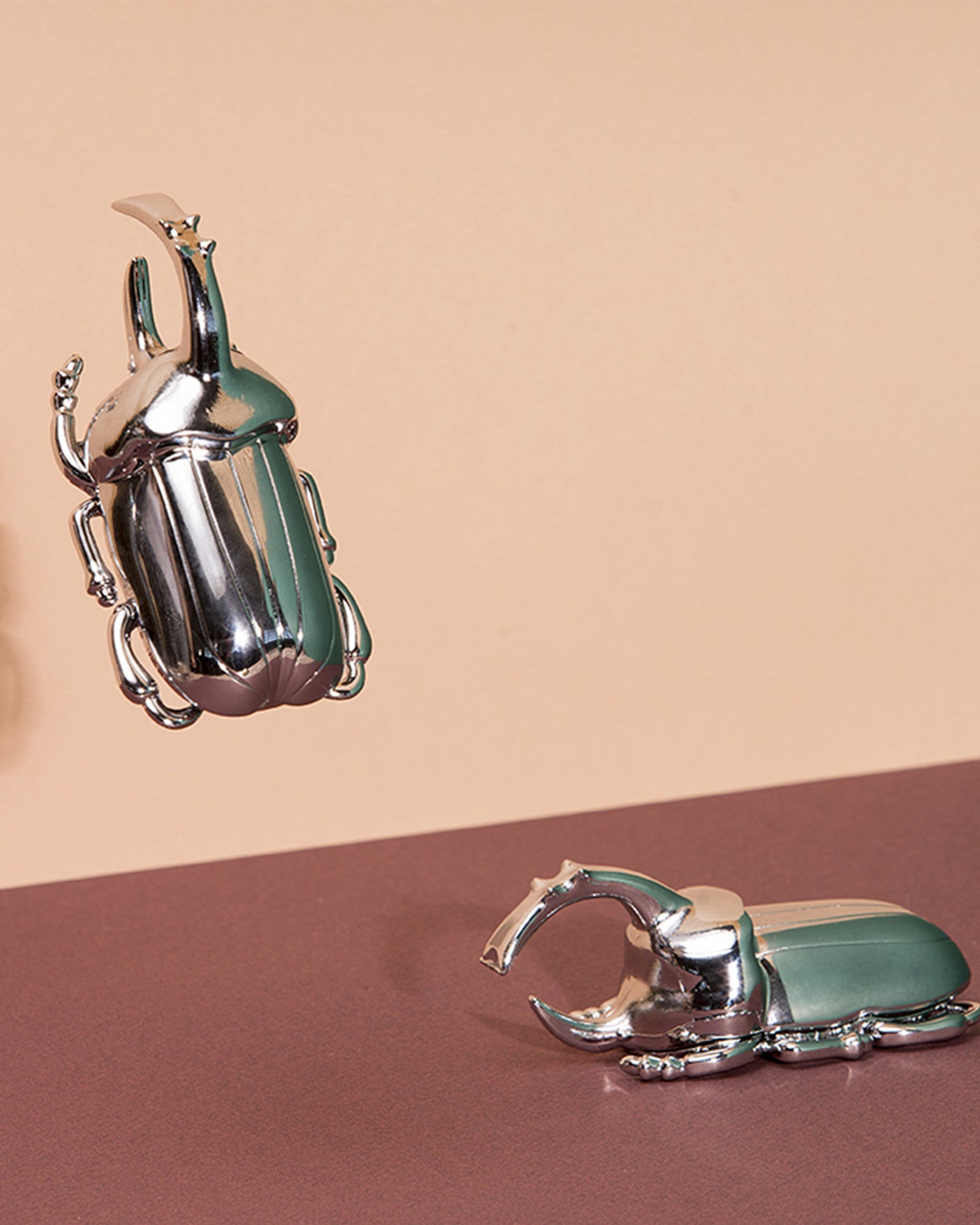 Bottle Opener, Insectum